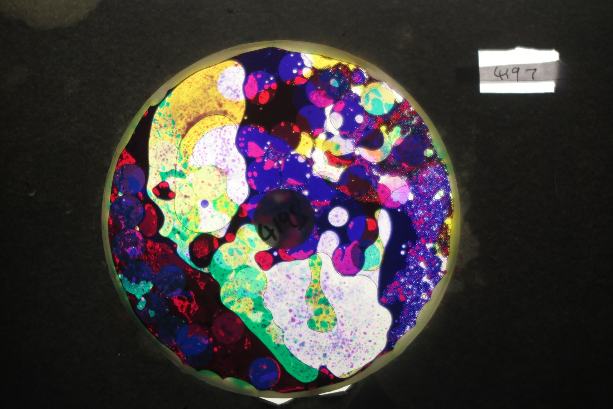 BV4197 bubble vision oil wheel